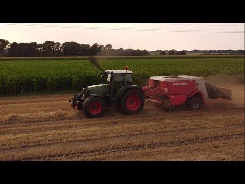 Stroh pressen 2021 in Niedersachsen - FENDT 817 mit WELGER D6050 Quaderballenpresse im Gerstenstroh