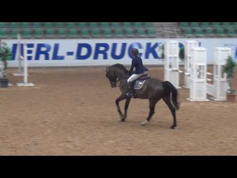 Carla (*2013 v. Cormint) - 15.02.2018 Kreuth - SPF A**