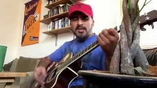 Michael Penn&#39;s Brave New World, the acoustic version , covered by Bill Higgins