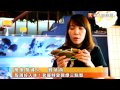 殼薄好入味！老饕特愛醬爆三點蟹