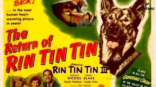 The Return of Rin Tin Tin 1947 | Adventure Film | Rin Tin Tin III | Donald Woods | Robert Blake
