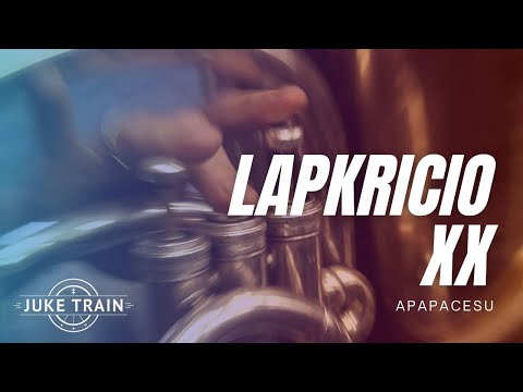 Juke Train - Lapkričio Dvidešimtosios Orkestras - Apapačėsu -  JT238