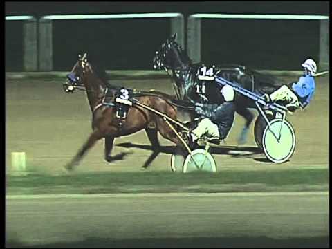 Trotto 01/10/2015 - 8° corsa  TRIS