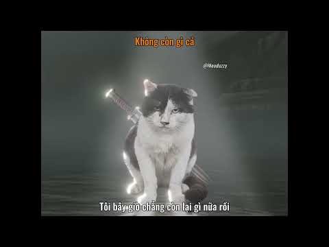 Trạng thái bất khả chiến bại của con người #meme #catmeme #cat