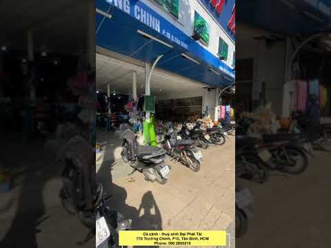 Tiệm cá cảnh thuỷ sinh Đại Phát Tài