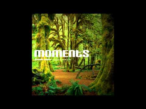 Nimrod Gabay - MOMENTS (chill original mix)
