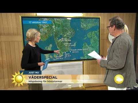 Väderspecial: "Mer höstlikt nästa vecka" - Nyhetsmorgon (TV4)