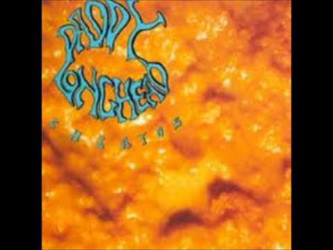 daddy longhead - the post