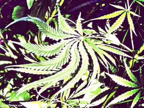 KHOMATOR Feat Siwydym (Remix DJ Dummy) - Rence do gory