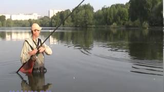Ссылка