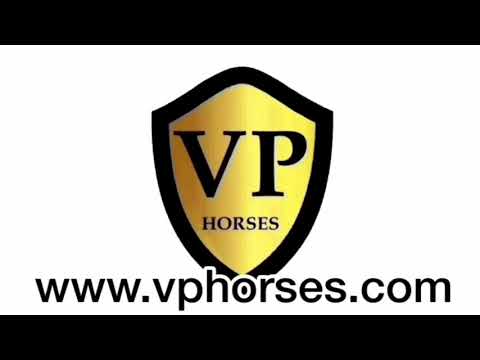 CSI Sunshinetour 2020 6 years old class ( Loui  LN) Top Quality -  ( kannan x Bijoux )