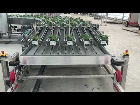 Stoon Wool Spacer | Crea-Tech