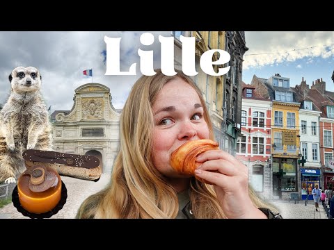 Eine Reise nach Lille 🥐🇫🇷 Frankreich Reise-Vlog