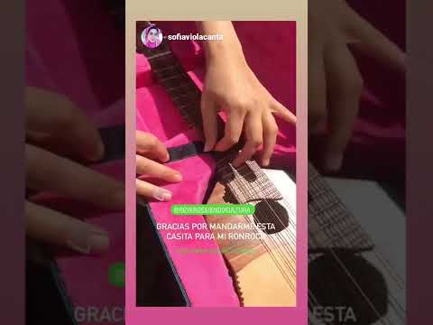 Sofía Viola y su estuche para Ronroco