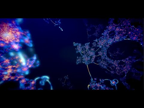 Dubanko & Woody Vibes - Crête & Moustache (Full album)