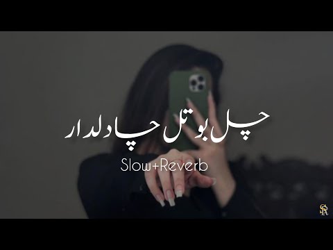 Chal Botal Cha Dildar Slow Reverb new Song Lofi Remix #slow_reverb Sariaki Song