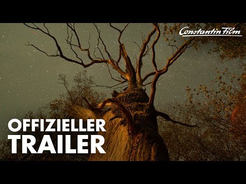 Das Geheime Leben Der Bäume (2020) Trailer