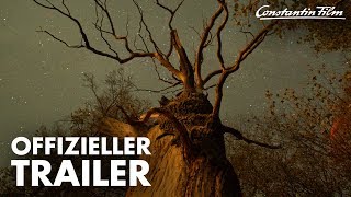 Das geheime Leben der Bäume Film Trailer