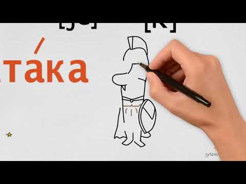 Video Sample