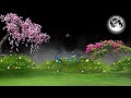 Background Video Flower Background Video Background Video Effects Hd Template Video Background