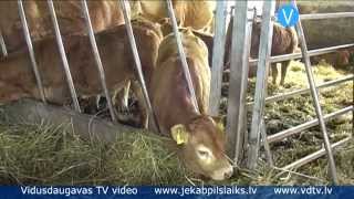 preview picture of video 'Līvānu novada saimniecība Rudzāts aprīkota ar inovatīvu sistēmu govju dzemdību brīža noteikšanai'