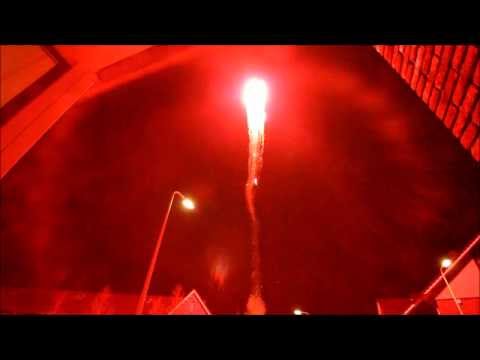 Cafferata - Showtime - Mine Red Dahlia