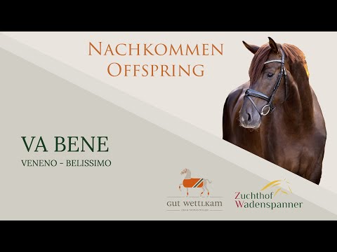 Va Bene Nachkommen