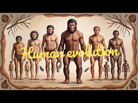The Evolution of Humans: From Dryopithecus to Modern Homo Sapiens