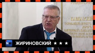 Жириновский снова смешит Путина и Медведева - видео онлайн