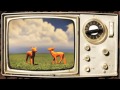 Little Beirut - "Last Light" LB Music - BlankTV Little Beirut - "Last Light" LB Music
