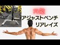 アジャストベンチお買い上げありがとうございます。リアレイズもできます。まさに万能です!