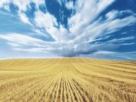 MAGNETIC & SHORTY feat  ZDENKA VUČKOVIĆ -  Žito