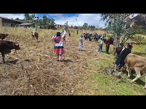 SANTIAGO  P3( HERRANZA)2026 FAM: LAURA TITO (POMACOCHA-ACOBAMBA-HUANCAVELICA)