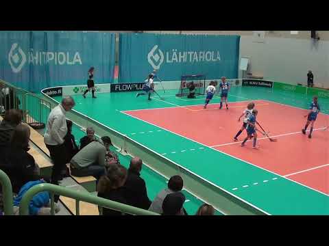 Nibacos Valkoinen - Blue Fox Sininen