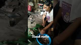 Download lagu sianak rantau mp3