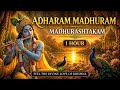 Shri Krishna Madhurashtakam Adharam Madhuram 1 Hour Divine Bliss Listen Once Feel Forever