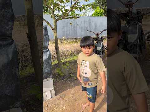 RAKA DI BUATIN KOLAM RENANG #minivlog #hiburanshorts #anakdesa #vlog