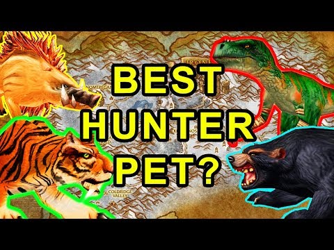 Classic WoW: Best Hunter Pet For Leveling? - Detailed Guide