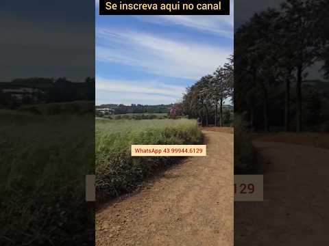 Ótimo sítio na Rainha do café no Paraná, cidade de Ibaiti #brasil #agro #ibaiti #paraná #cafe