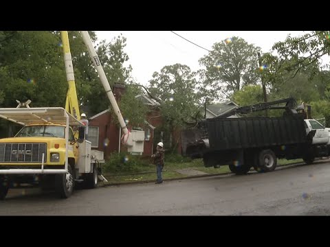 Storm damage cleanup