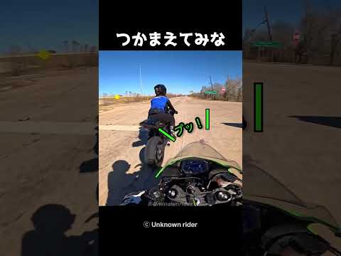 つかまえてみな