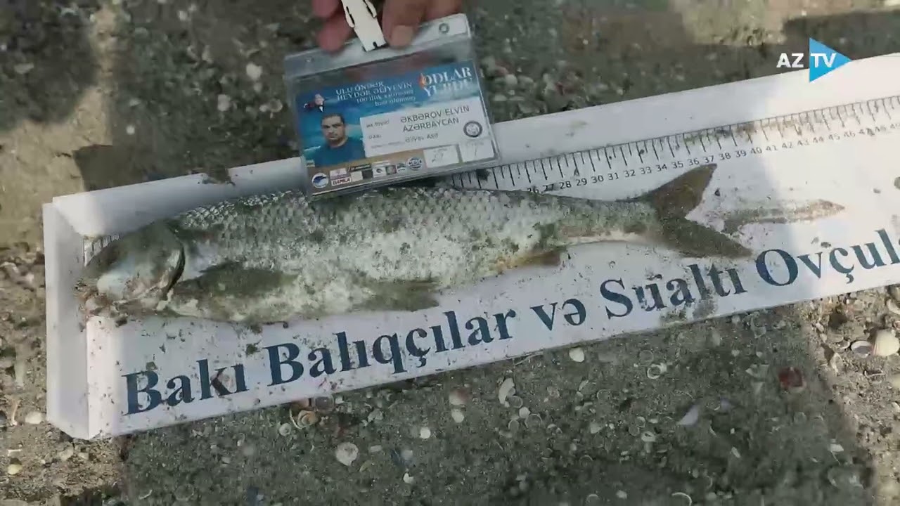 I ODLAR YURDU Beynəlxalq Surfkastinq Turniri. Çöl Adamı... thumbnail