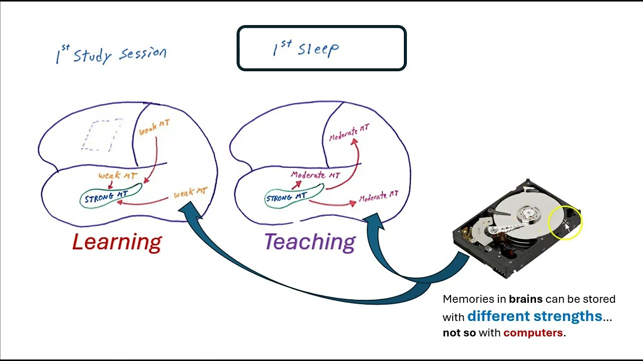 Creating memories in school:  Recommendations from the brain sciences