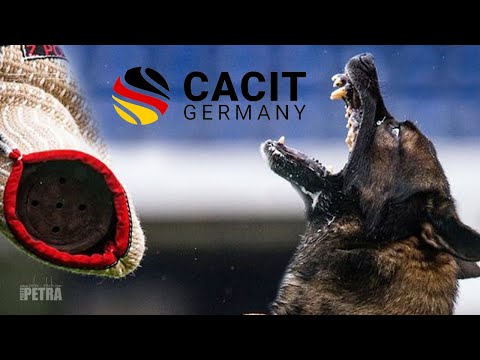 Trailer CACIT Germany 2023