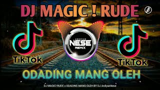 Download lagu DJ MAGIC! RUDE x ODADING MANG OLEH x BINATANG VIRAL TIK TOK 2021 (DJ ArdiyanNese Remix) mp3