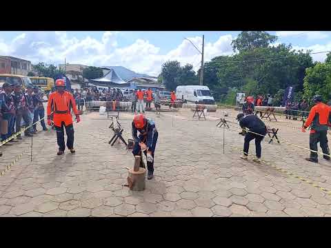 Melhor operador de motosserra do Brasil Caputira mg 
