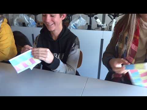 VISITA IES GABRIEL Y GALÁN 9 (ADN 3)