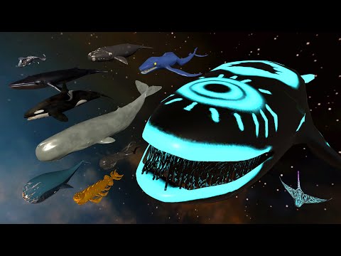 Space Whale Vs Aircraft Whale - 3D Legendary Whales Size Comparison