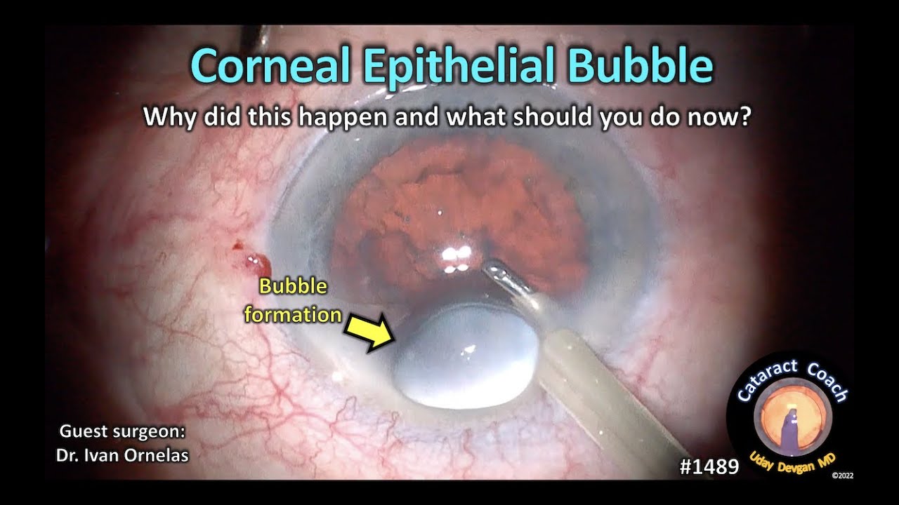 Ivan Alfonso Ornelas Figueroa-6