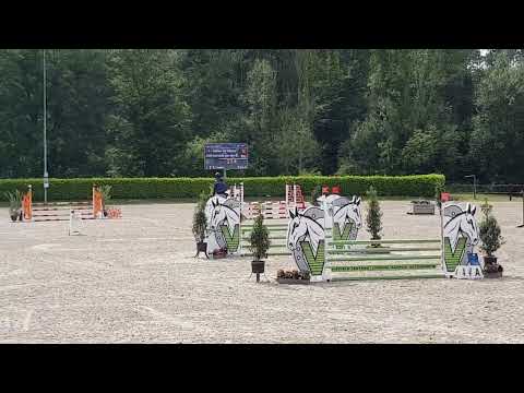 Socrates van den Bosdam - cyclus Hasselt